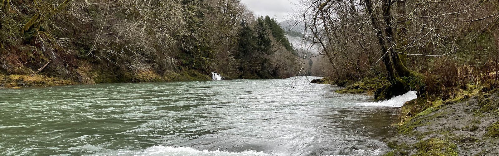 December Fishing Preview for the Pacific Northwest - Next Adventure