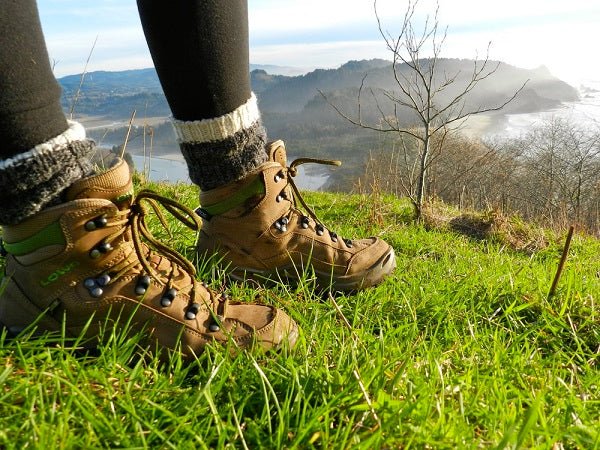 Lowa Renegade GTX Mid Hiking Boots Review - Next Adventure
