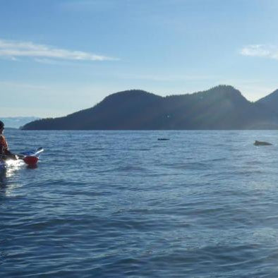 San Juans Sea Kayaking Trip - Next Adventure