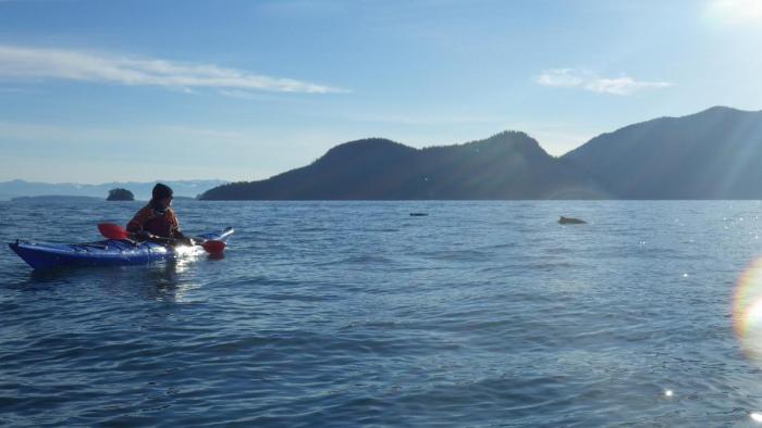 San Juans Sea Kayaking Trip - Next Adventure