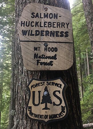 Trip Report: Boulder Ridge Trail in the Salmon-Huckleberry Wilderness - Next Adventure