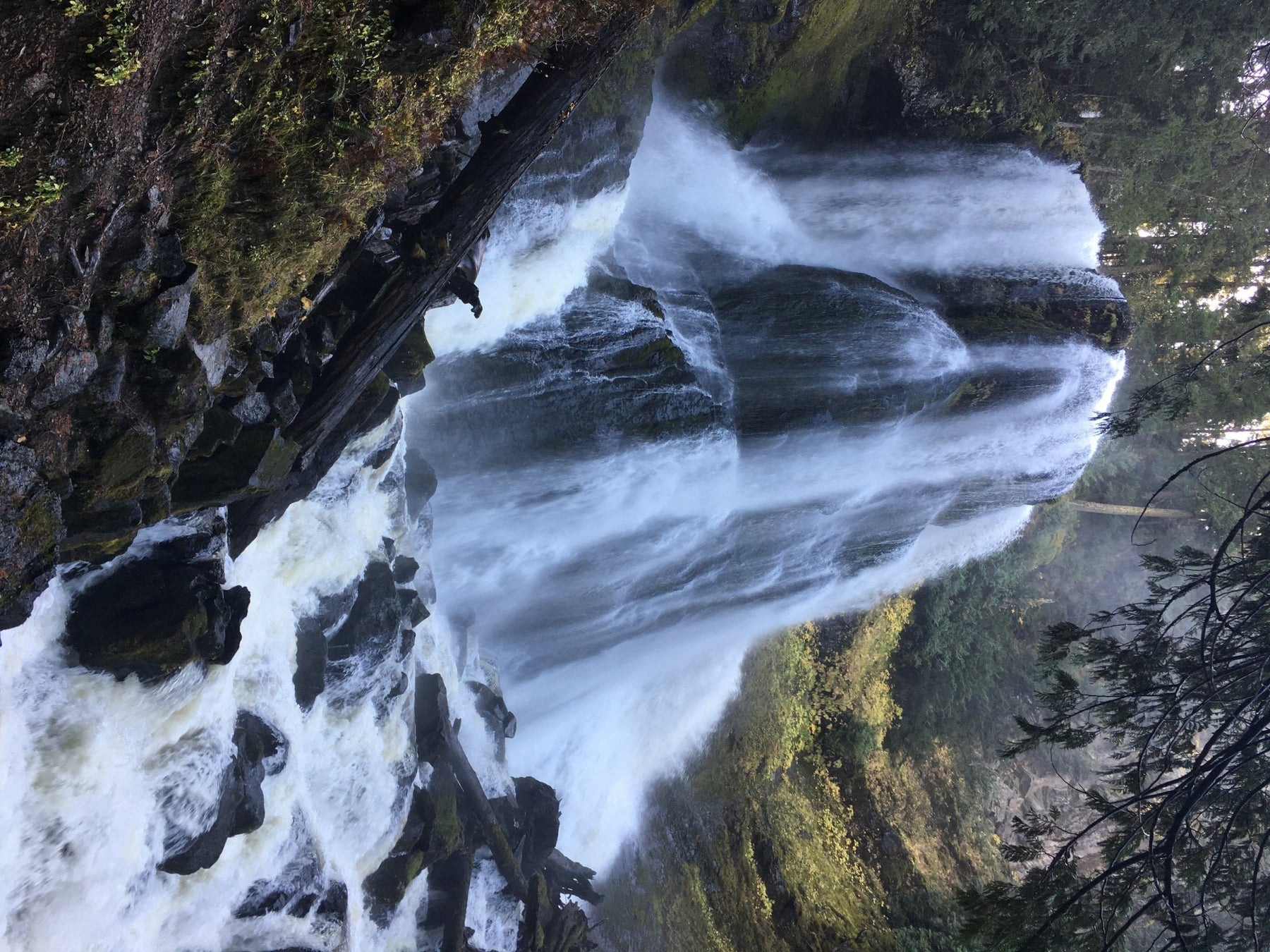 Trip Report: Falls Creek Falls - Next Adventure