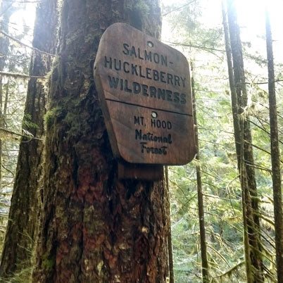 Trip Report: Hiking the Salmon River Trail in the Salmon-Huckleberry Wilderness - Next Adventure