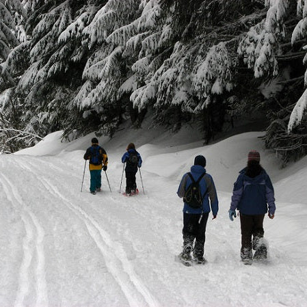 5 Reasons To Try Snowshoeing - Next Adventure