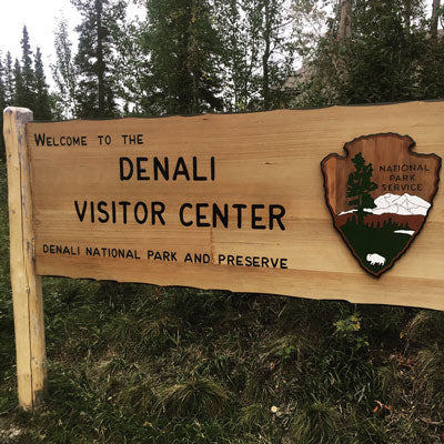 Trip Report: Denali National Park, Alaska - Next Adventure