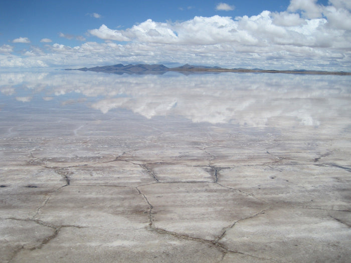 A Month of Desert Discoveries - Next Adventure