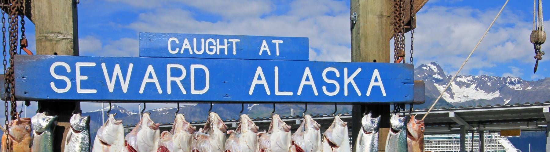 Adventures in Alaska: Epic Halibut Fishing Tales