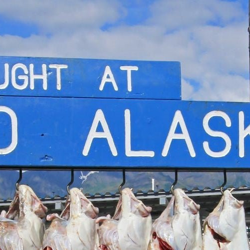 Adventures in Alaska: Epic Halibut Fishing Tales - Next Adventure