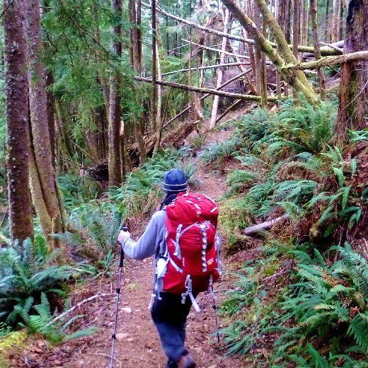 Backpacking the Oregon Coast Trail: Tillamook Head - Next Adventure