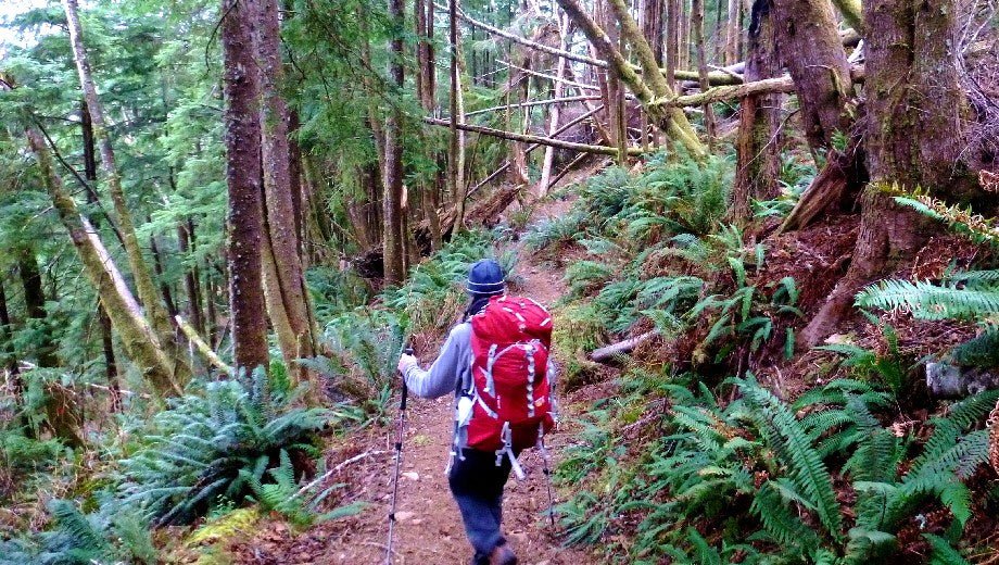 Backpacking the Oregon Coast Trail: Tillamook Head - Next Adventure