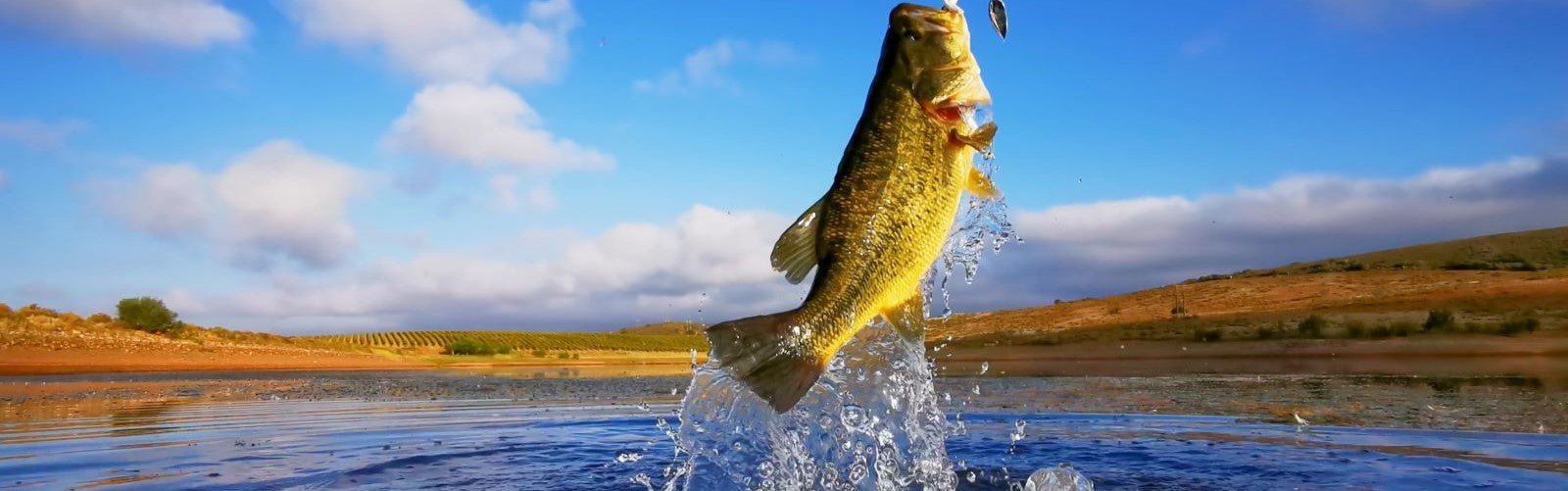 Bass Fishing in the Spring: A Comprehensive Guide - Next Adventure