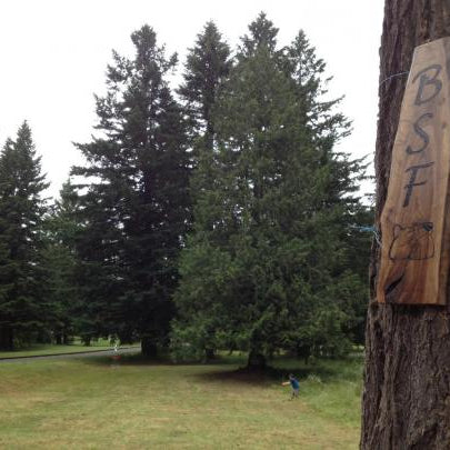 Beaver State Fling 2012: Oregon's Biggest and Baddest disc golf Tournament - Next Adventure
