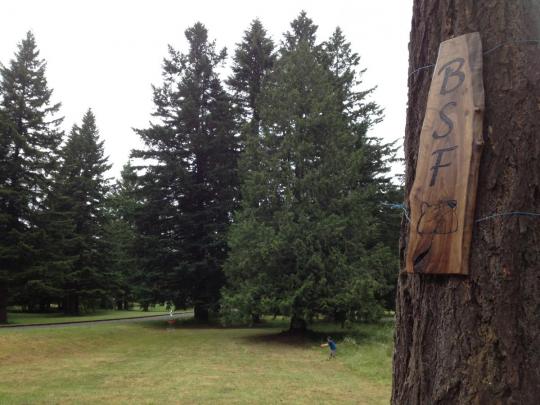 Beaver State Fling 2012: Oregon's Biggest and Baddest disc golf Tournament - Next Adventure