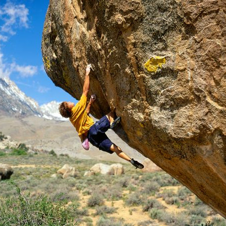 Bishop Part 2 - Next Adventure