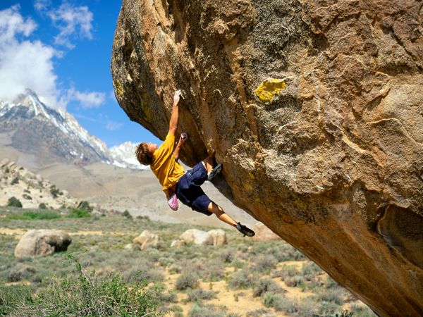 Bishop Part 2 - Next Adventure