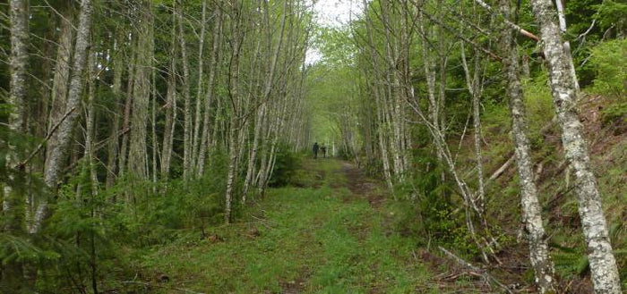 Camping Season is Underway! - Next Adventure