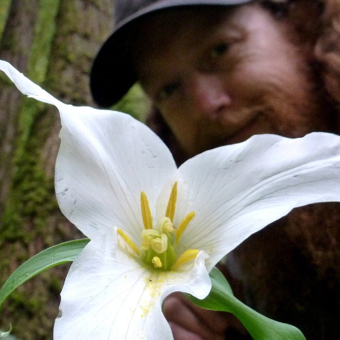 Columbia Gorge Wildflowers - Spring 2014 - Next Adventure