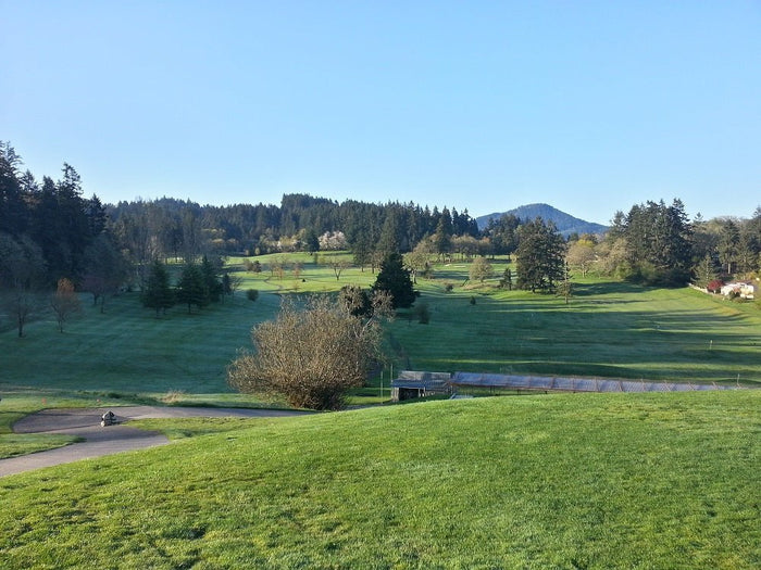 Event Report: 2015 Laurelwood Open - Next Adventure