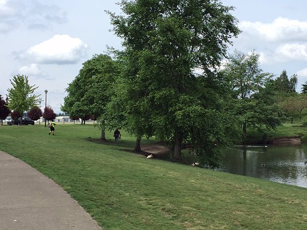 Event Report: Race For The Cup Disc Golf Tournament - Next Adventure