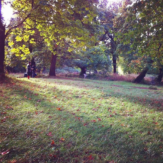 Event Report: Willamette Open Disc Golf Tournament - Next Adventure