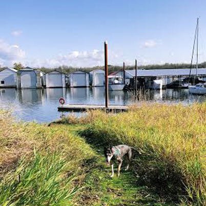 Exploring the Next Adventure Scappoose Bay Paddling Center - Next Adventure