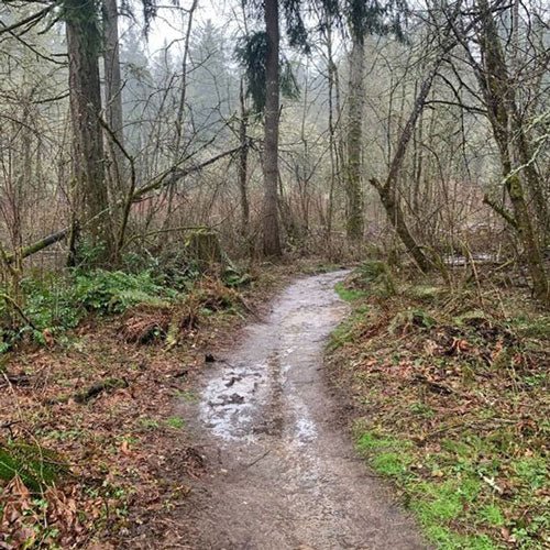 Favorite Run Near Portland, OR - Tualatin Hills Nature Park - Next Adventure