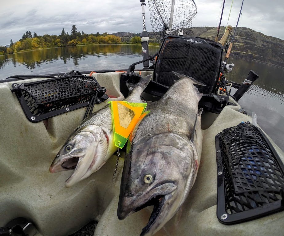 Fishing In The Fall: The Columbia River Gorge - Next Adventure