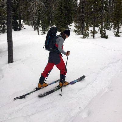 Gear Review: Black Diamond Traverse WR 2 Ski Poles - Next Adventure