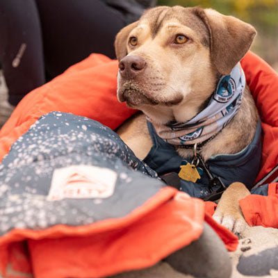 Gear Review: Kelty Bestie Blanket - Next Adventure