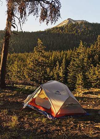 Gear Review: MSR Hubba Hubba NX Tent - Next Adventure