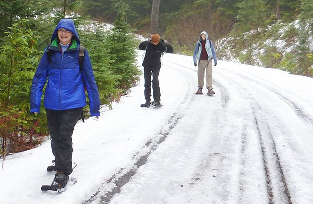 Ho! Ho! Ho! Let It Snow! - Next Adventure