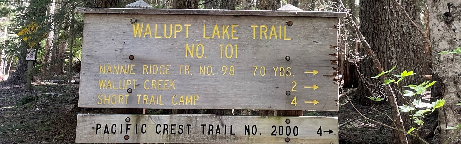 Exploring the Walupt Lake Trail in the Gifford Pinchot National Forest - Next Adventure