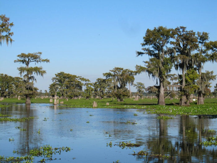 Road Trip 2013: Touring North America (Part 1) - Next Adventure