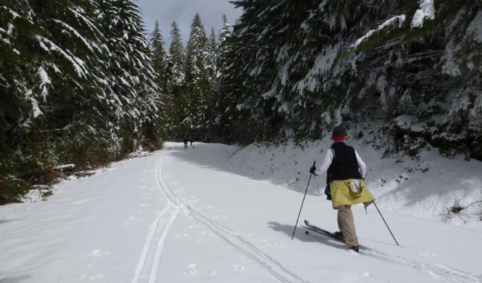 Spring Quandary - Next Adventure