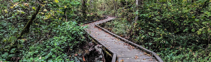 Spring Trail Running In & Around Portland - The Best Routes to Reignite Your Stride - Next Adventure