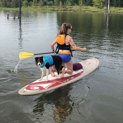 Take Your Dog Paddleboarding! - Next Adventure