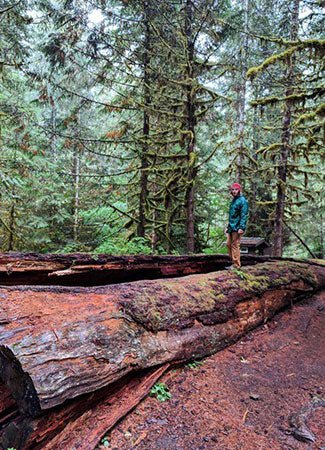 Trip Report: Bagby Hot Springs - Next Adventure