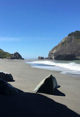 Trip Report: California Redwoods & Lost Rocks - Next Adventure