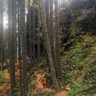 Trip Report: Castle Canyon Trail - Rhododendron, Oregon - Next Adventure