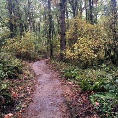 Trip Report: Exploring the Mount Talbert Hiking Area - Next Adventure