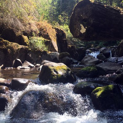 Trip Report: Exploring the North Fork of the Clackamas River - Next Adventure