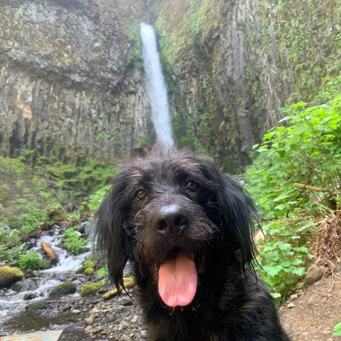 Trip Report: Hiking Dry Creek Falls - Next Adventure