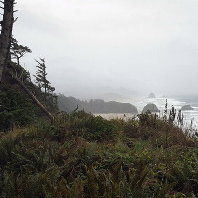 Trip Report: Hiking Ecola State Park on the Oregon Coast - Next Adventure
