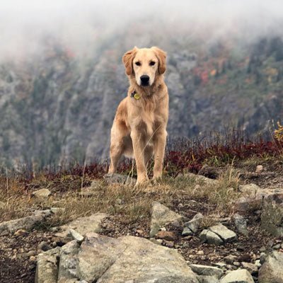 Trip Report: Hiking Silver Star Mountain - Next Adventure