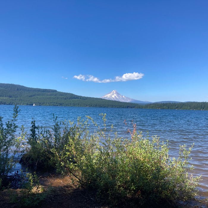 Trip Report: Hiking Timothy Lake and Little Crater Lake in the Mount Hood National Forest - Next Adventure