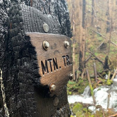 Trip Report: Hiking Wahkeena Falls Loop After the Columbia Gorge Fire - Next Adventure