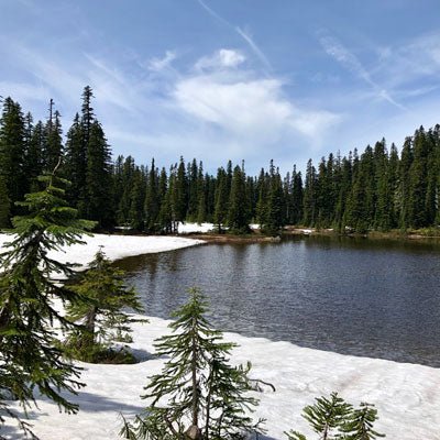 Trip Report: Indian Heaven Wilderness, Gifford Pinchot National Forest - Next Adventure