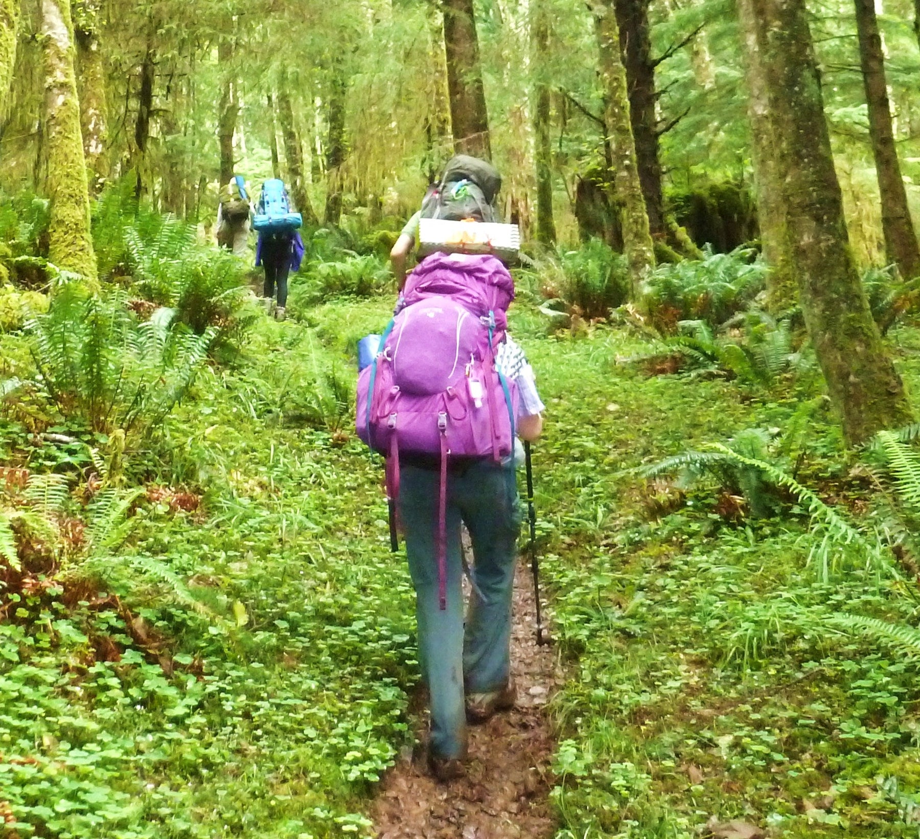 Trip Report: Outdoor School Oregon Coast Backpack - Next Adventure