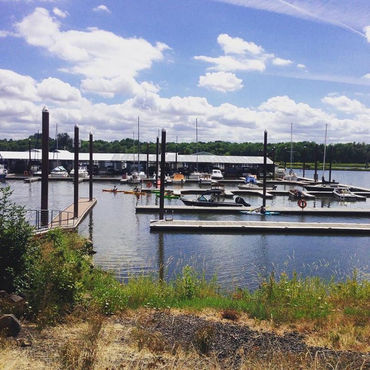 Trip Report: Paddle boarding in Scappoose Bay - Next Adventure
