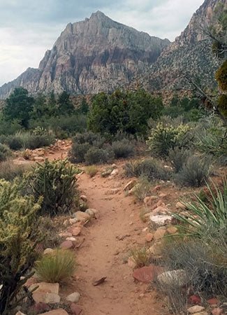 Trip Report: Pine Ridge Trail, Red Rock Canyon National Conservation Area, Nevada - Next Adventure